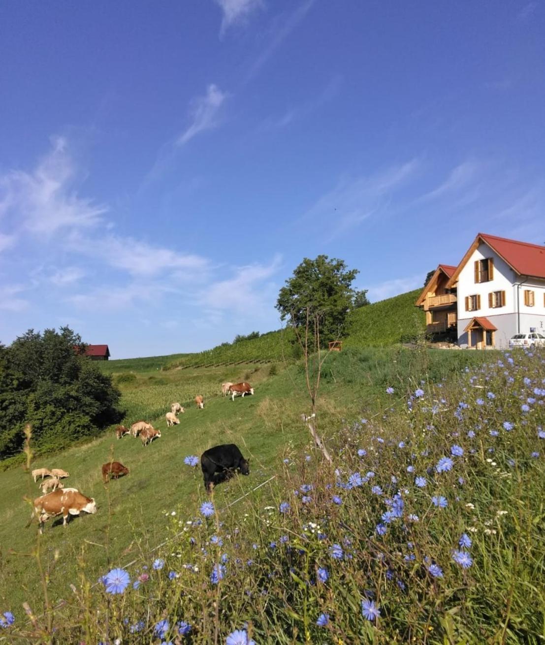 Bauernhof Gschmeidler Sankt Johann im Saggautal 外观 照片